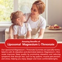 2-pack-liposomal-magnesium-threonate-hig-6.jpg