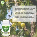 amla-capsules-500mg-organic-indian-goose-3.jpg