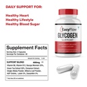 5-pack-easy-flow-glycogen-support-easyfl-5.jpg