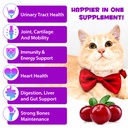 liquid-multivitamin-for-cat-15-in-1-cats-2.jpg