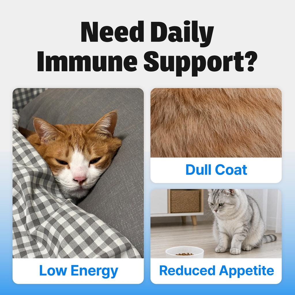cat-immune-multivitamin-supplement-9-in--2.jpg