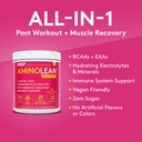 rsp-nutrition-hibiscus-lemonade-aminolea-5.jpg