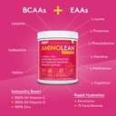 rsp-nutrition-hibiscus-lemonade-aminolea-6.jpg