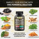 shilajit-supplement-panax-ginseng-ashwag-5.jpg