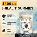 1400-mg-shilajit-gummies-shilajit-pure-h-4.jpg