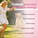 bloomin-shilajit-gummies-for-women-daily-3.jpg