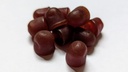 improved-formula-organic-elderberry-gumm-6.jpg