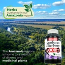 fito-medic-s-lab-elderberry-supplement-s-5.jpg