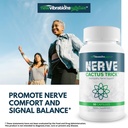 nerve-cactus-trick-our-best-b12-nerve-re-5.jpg