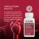 heartxl-advanced-heart-health-supplement-4.jpg