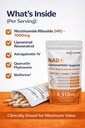 nad-5d-matrix-high-potency-nad-precursor-4.jpg