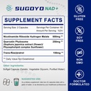 nad-supplement-1000mg-liposomal-nicotina-4.jpg