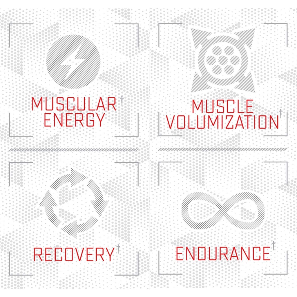 purus-labs-foundation-series-citrulline--3.jpg