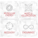purus-labs-foundation-series-citrulline--3.jpg