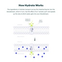 cheers-classic-combo-restore-hydrate-reh-3.jpg