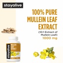 stay-alive-mullein-leaf-extract-1000mg-1-3.jpg