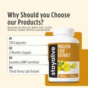 stay-alive-mullein-leaf-extract-1000mg-1-5.jpg