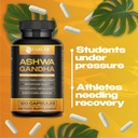 ashwagandha-gaba-magnesium-glycinate-sup-5.jpg