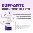 neurocept-supplement-capsules-all-natura-3.jpg