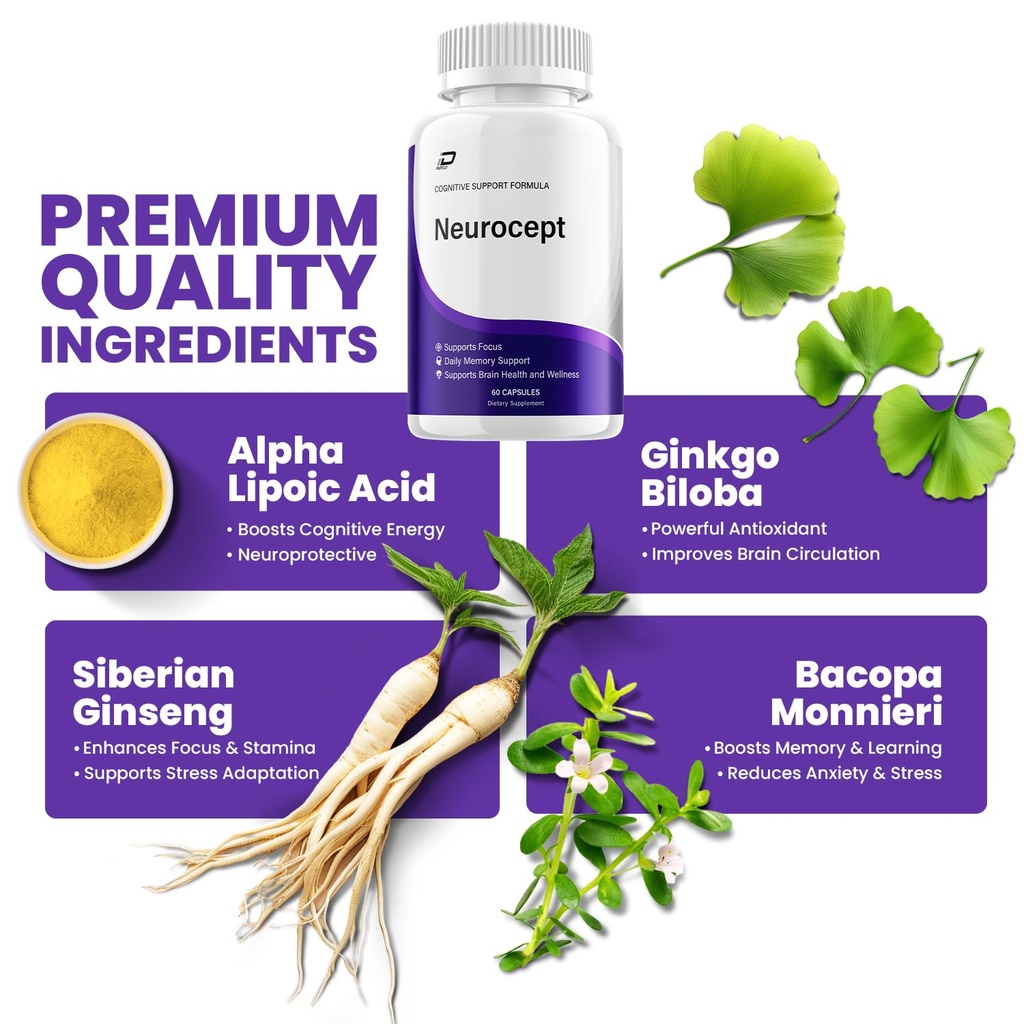 neurocept-supplement-capsules-all-natura-4.jpg