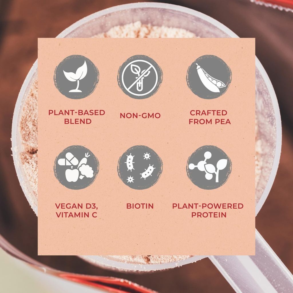 fuel-vegan-protein-powder-mint-chocolate-6.jpg