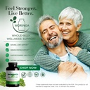 transfer-point-moringa-oleifera-capsules-3.jpg