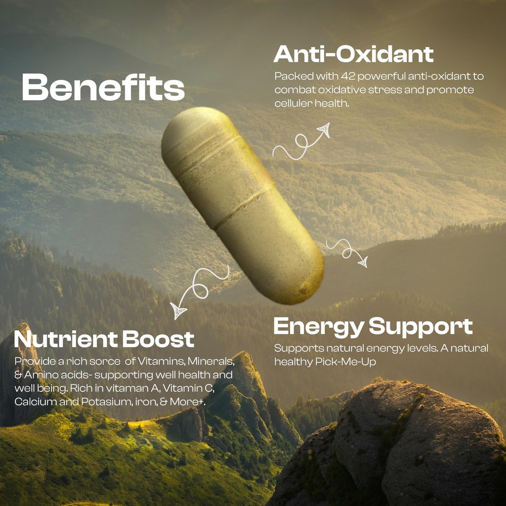 moringa-capsules-800mg-pure-moringa-olei-4.jpg