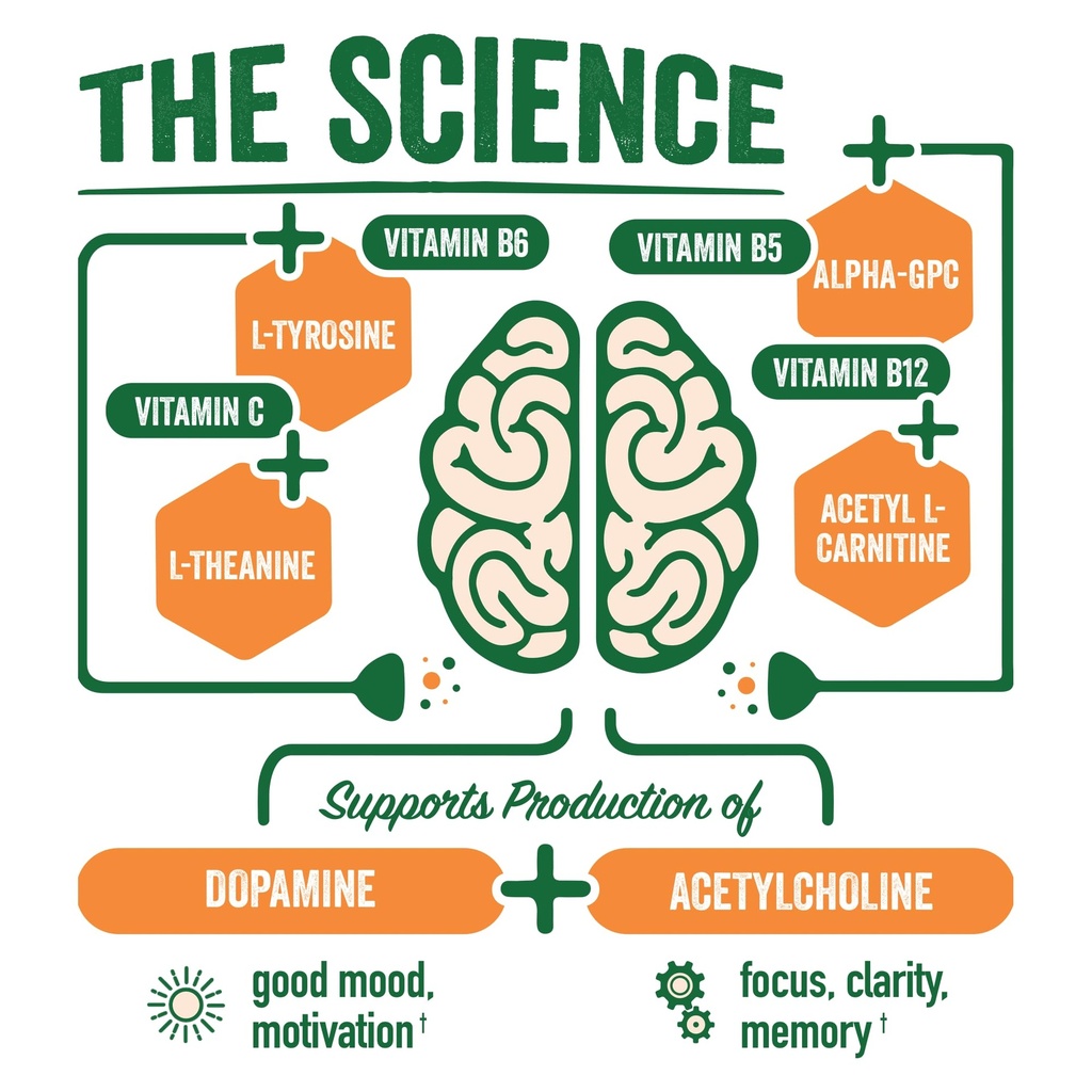brainjuice-nootropics-brain-support-supp-5.jpg