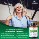 zazzee-high-absorption-artemisinin-100-m-2.jpg