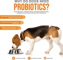 pet-probiotics-for-dogs-supplement---sup-2.jpg