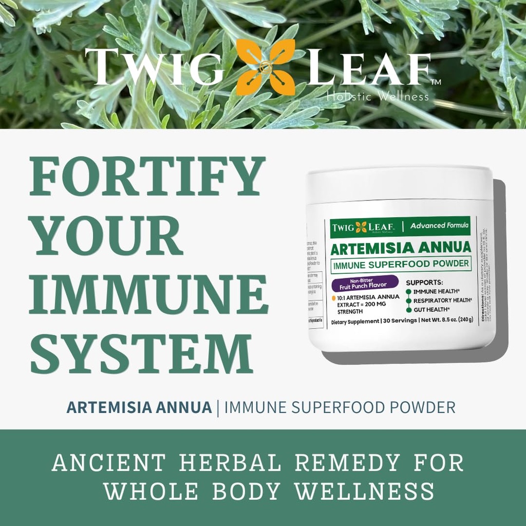 artemisia-annua-sweet-wormwood-herbal-po-3.jpg