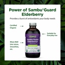 flora-sambuguard-elderberry-immune-suppo-4.jpg