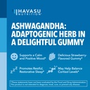 ashwagandha-gummies-for-stress-mood-supp-5.jpg