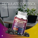 sugar-free-cortisol-gummies-for-women-me-6.jpg