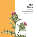 eclectic-herb-milk-thistle-glycerite-her-2.jpg