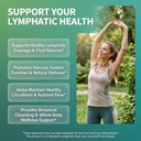 organic-lymphatic-drainage-supplements-e-2.jpg