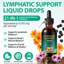 lymphatic-drainage-drops-for-lymphatic-c-2.jpg