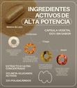 adaptogenic-mushroom-extract-blend-lions-5.jpg
