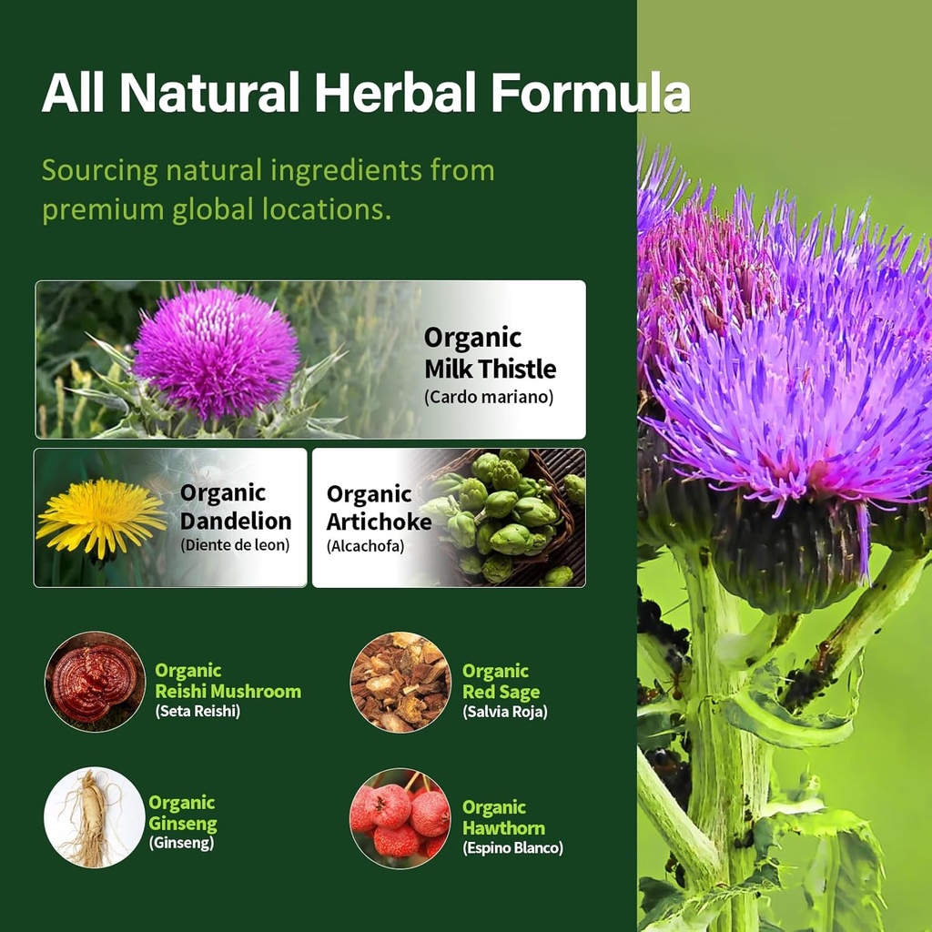 herdmood-silymarin-milk-thistle-liver-de-4.jpg