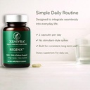 xenivra-regenix-nad-supplement-nad-boost-2.jpg