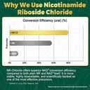 nboocup-nad-supplement-1010mg-nicotinami-3.jpg