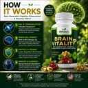 green-valley-naturals-brain-vitality-plu-6.jpg