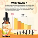 liposomal-nad-supplement-1500mg-nad-liqu-3.jpg