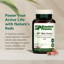 standard-process-sp-red-food-circulation-3.jpg