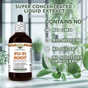 fo-ti-root-polygonum-multiflorum-dry-roo-5.jpg