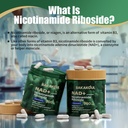bakakoul-nad-supplement-liposomal-nicoti-4.jpg