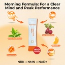 oxyenergy-nad-supplement-1550-mg-daytime-2.jpg