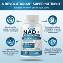 nad-supplement-8525-mg-liposomal-nad-res-4.jpg