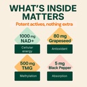 b-ready-nad-gummies-premium-1000-mg-nad--6.jpg