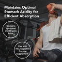 quantum-nutrition-labs-quantum-betaine-h-4.jpg